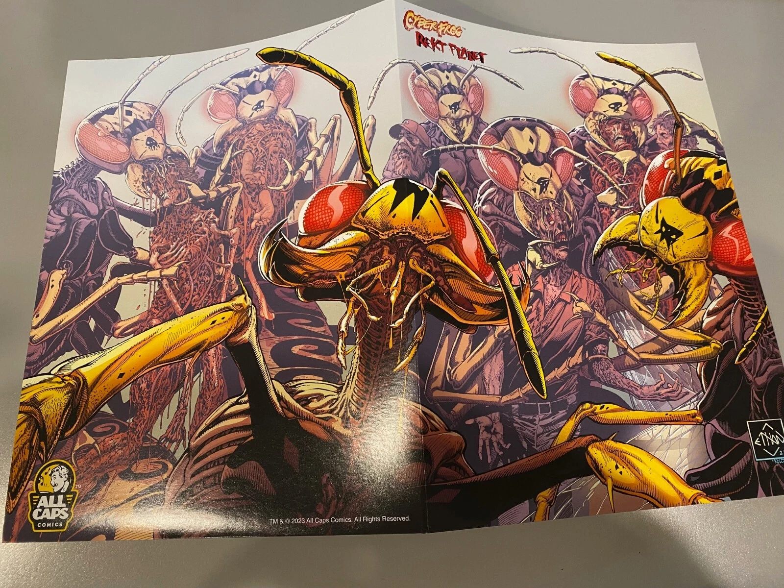 CYBERFROG FOLDER "Vyzpyzz Variant"