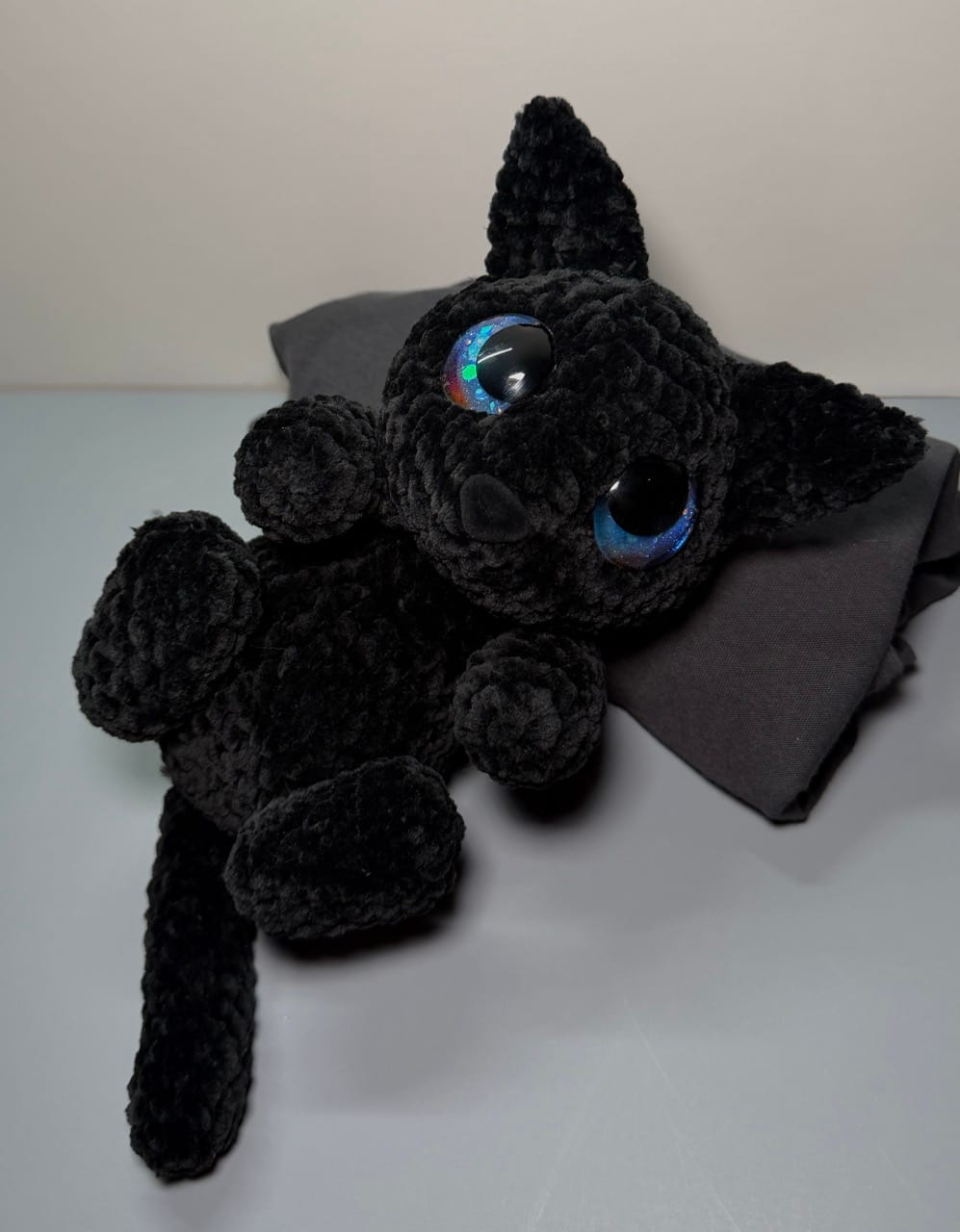 Playful Black Cat